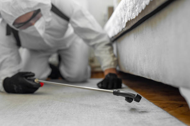 Professional Bed Bug Control technician working in Daytona Beach Shores, FL
