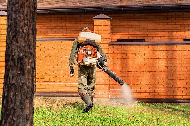 Trusted Bed Bug Control service in Daytona Beach Shores, FL - Nex Pest Control
